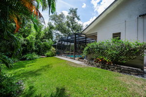 Backyard6