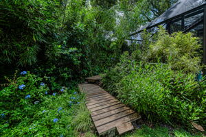 Backyard7