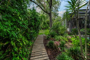 Backyard9
