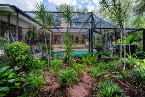 Backyard10