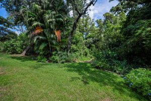 Backyard1