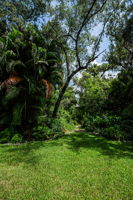 Backyard2