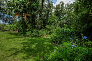 Backyard3