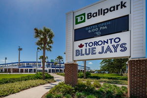 144-Minor League Baseball Team for Toronto Blue Jays