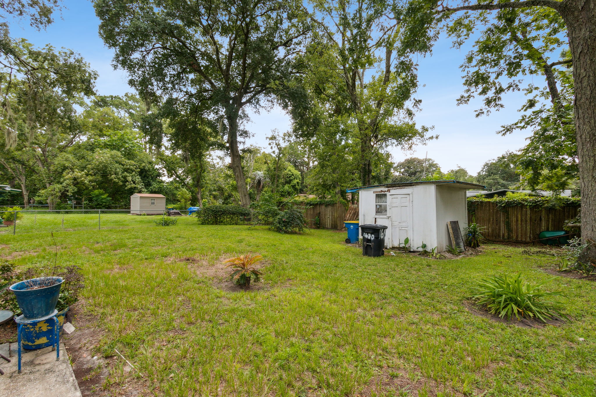 Back Yard