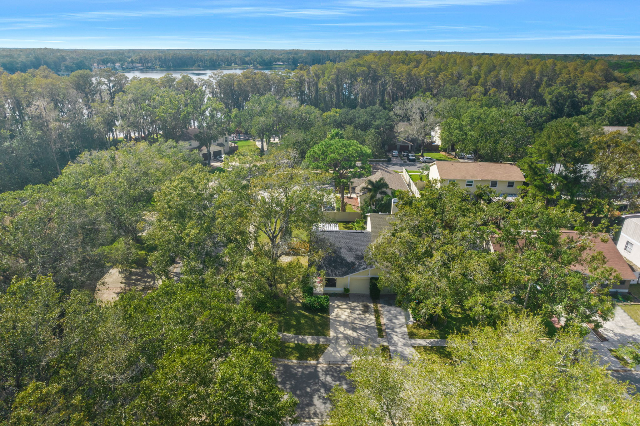 16802 Stanza Ct, Tampa, FL 33624, USA Photo 3