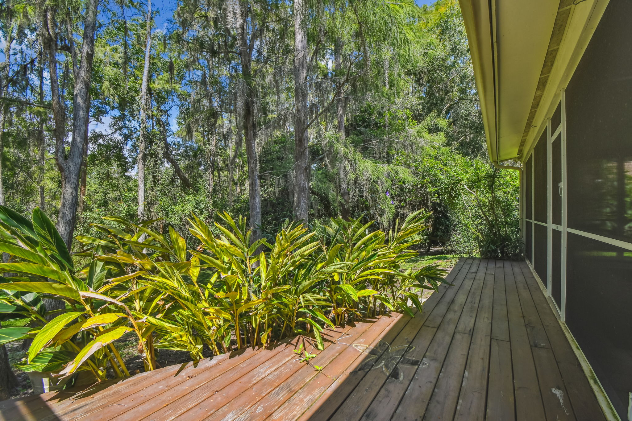 DSC_9337