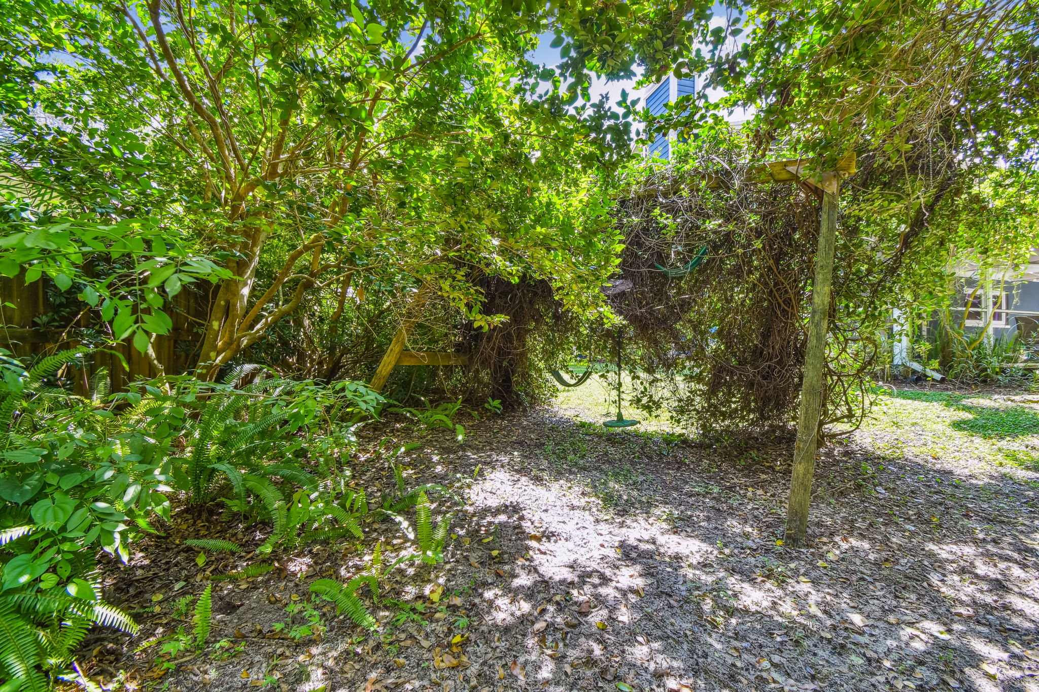 DSC_9351