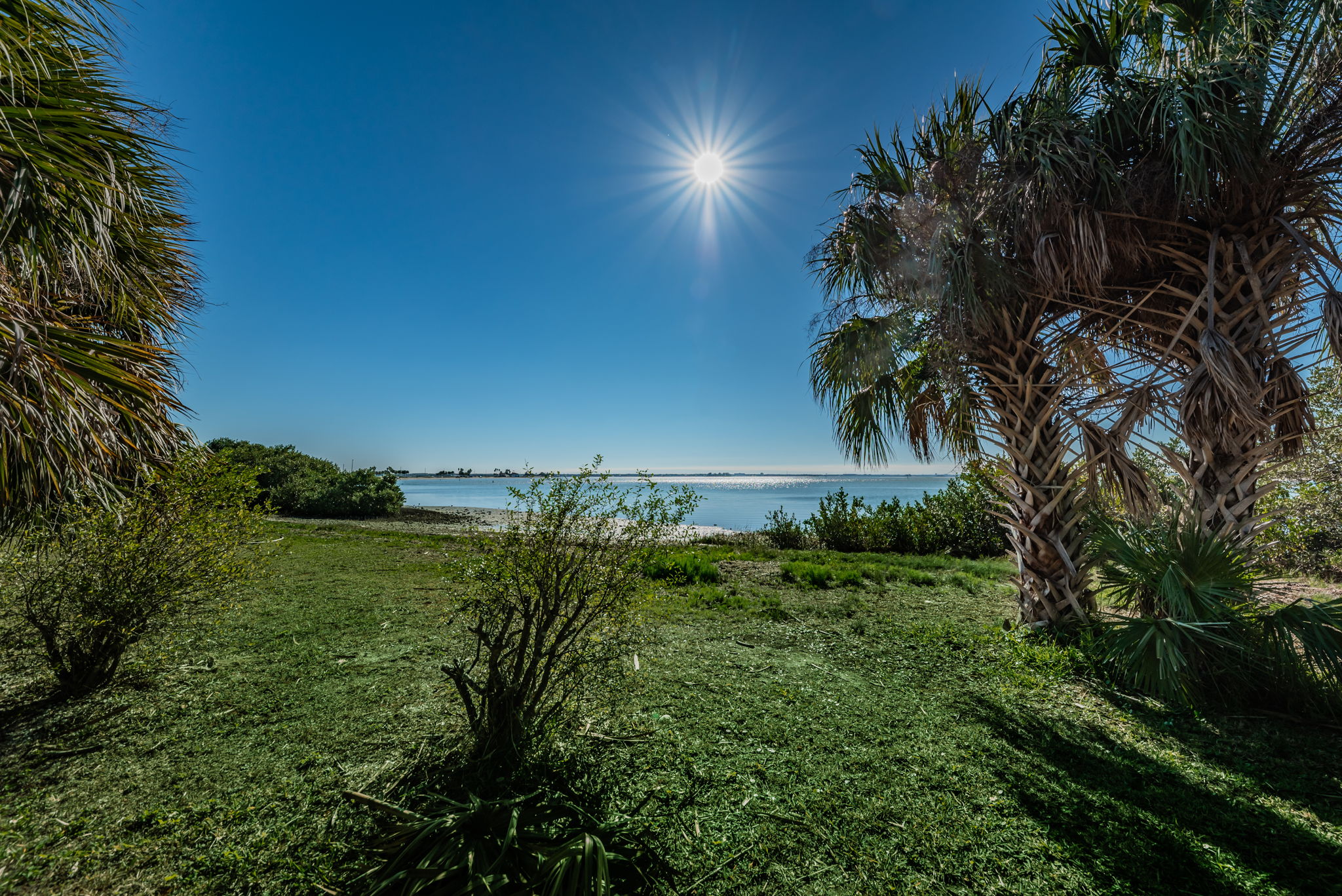 6-Dunedin Causeway