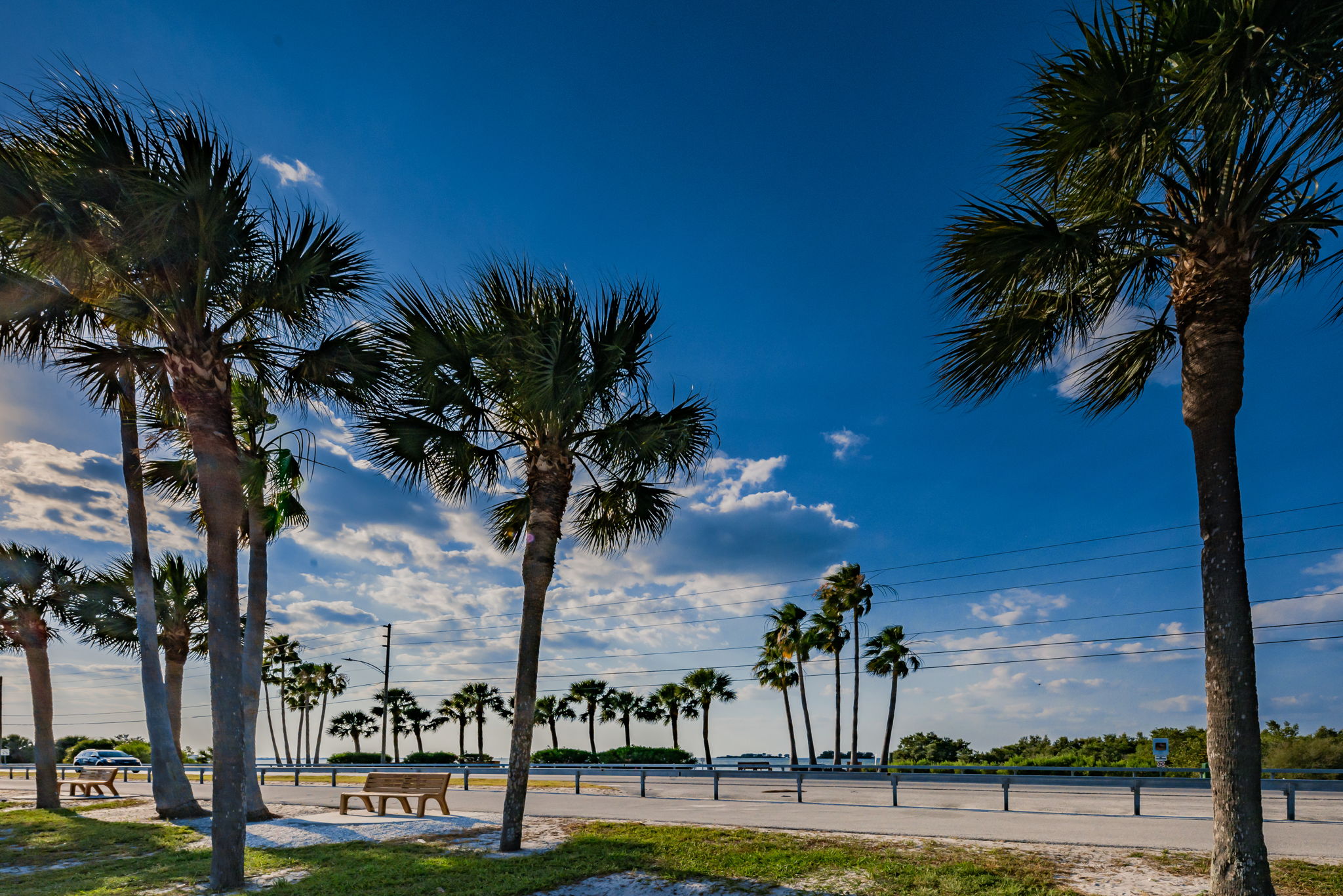 15-Dunedin Causeway