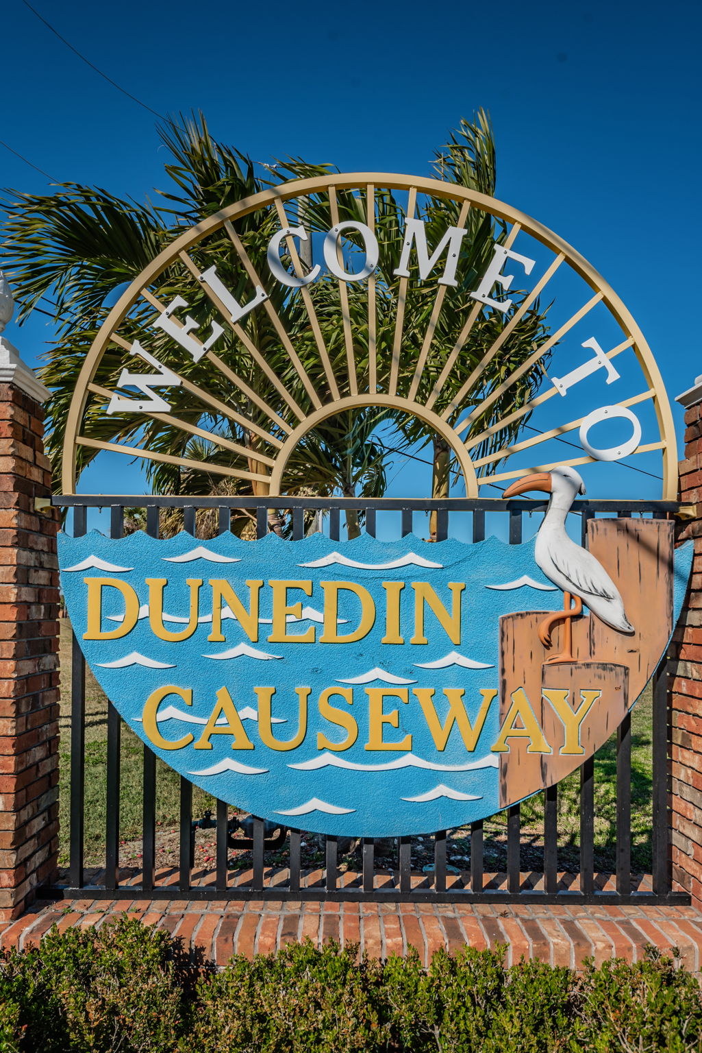 22-Dunedin Causeway