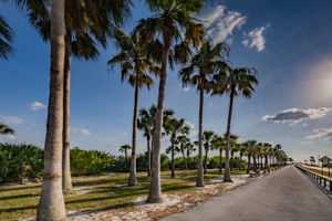 9-Dunedin Causeway