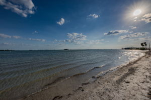 14-Dunedin Causeway