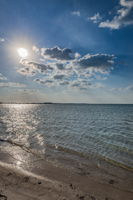 18-Dunedin Causeway