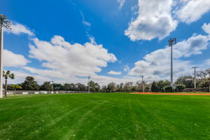 108-Dunedin Little League Baseball Field