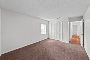  Photo 38