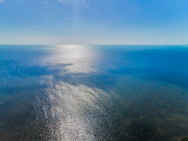 Aerial (11)