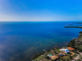 Aerial (13)