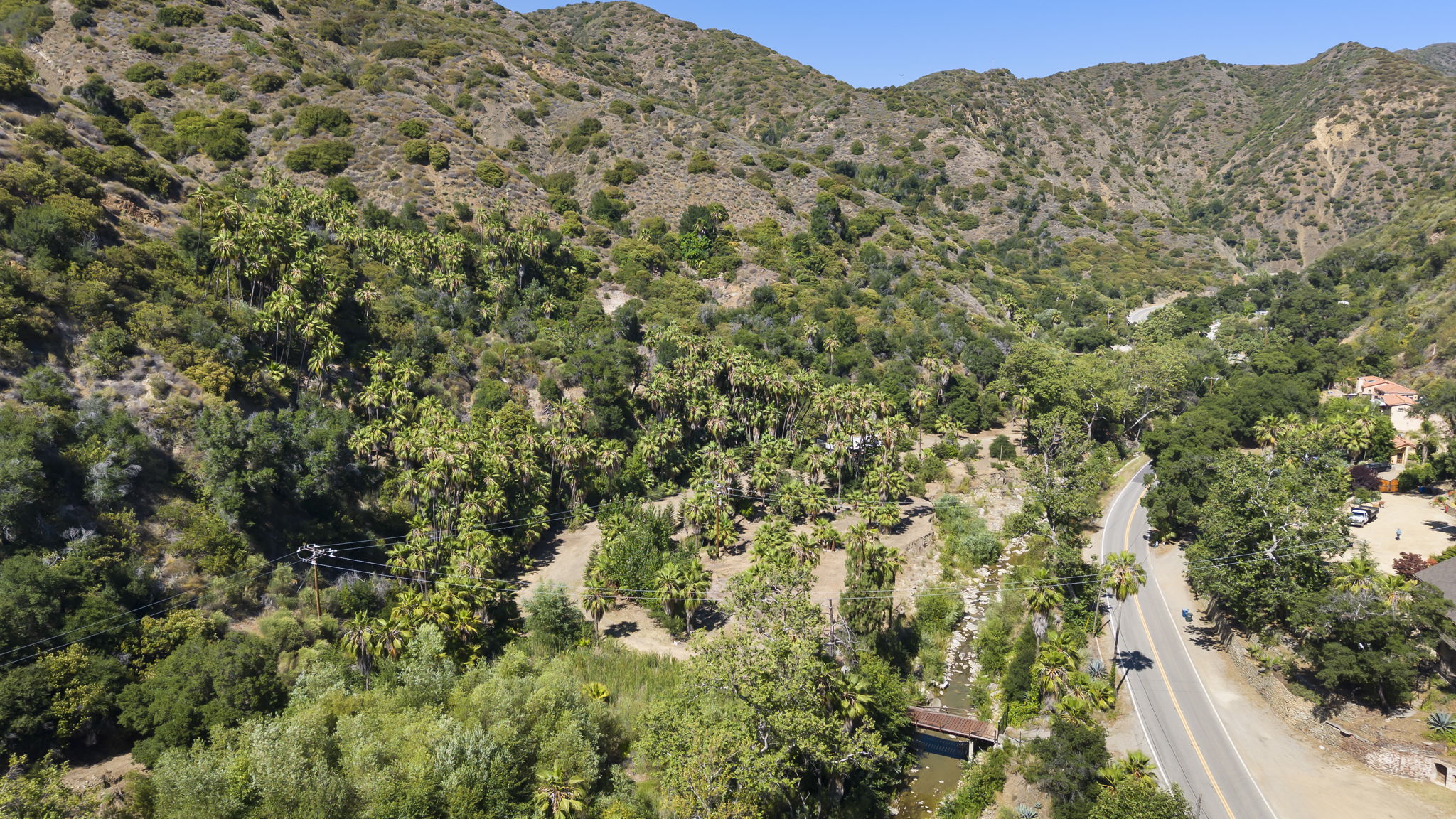  Photo 100