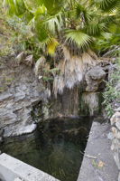  Photo 52