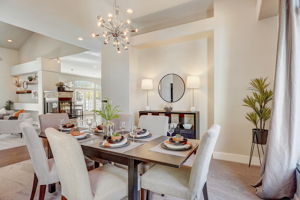 S Willow Ct-017