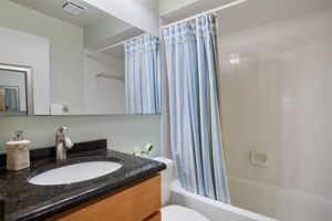 Guest bathroom