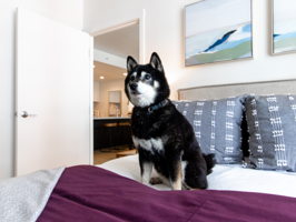 1688 Pine St, San Francisco, CA 94109, USA Photo 9