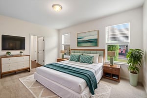 16886 Hypatia Alley_21 virtually staged.jpeg