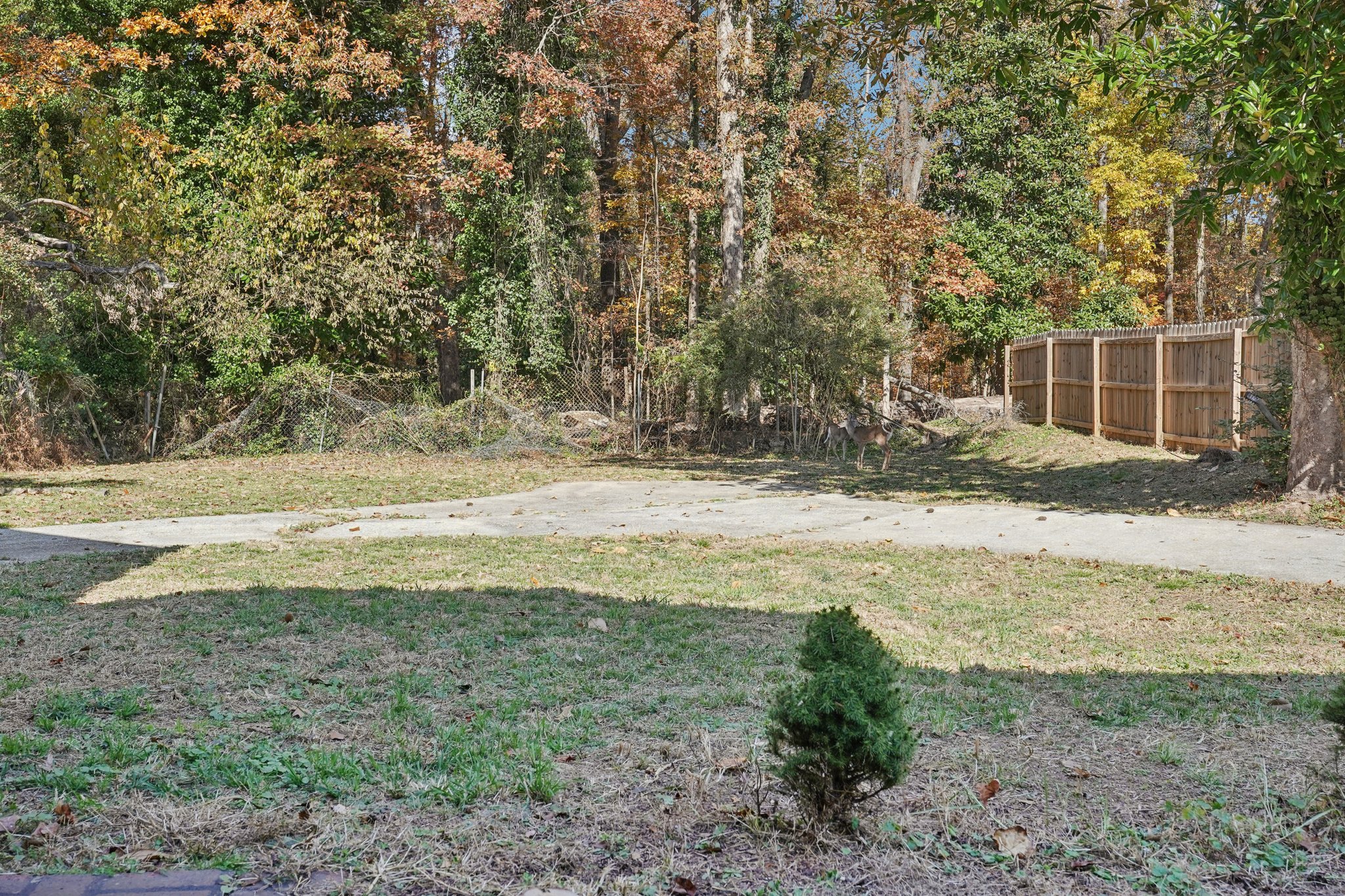 Derry Ave SW-S1911-064.jpg