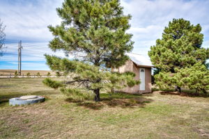  Photo 51