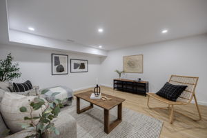 Basement Living Room