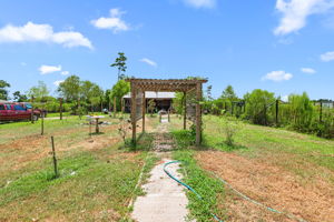  Photo 41