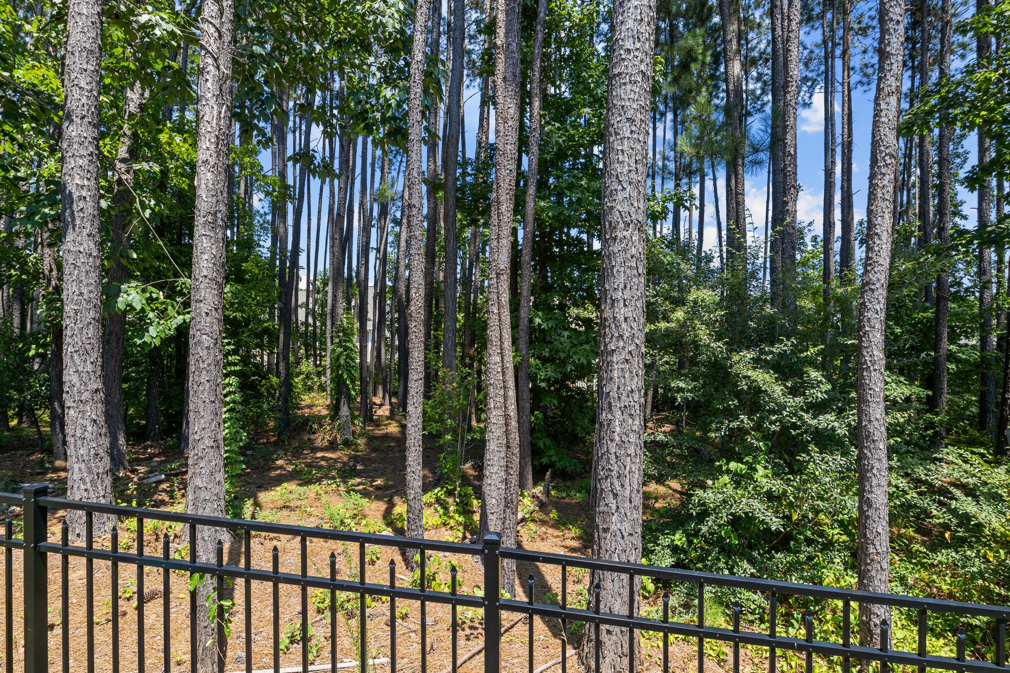 Current homeowners created walking trails