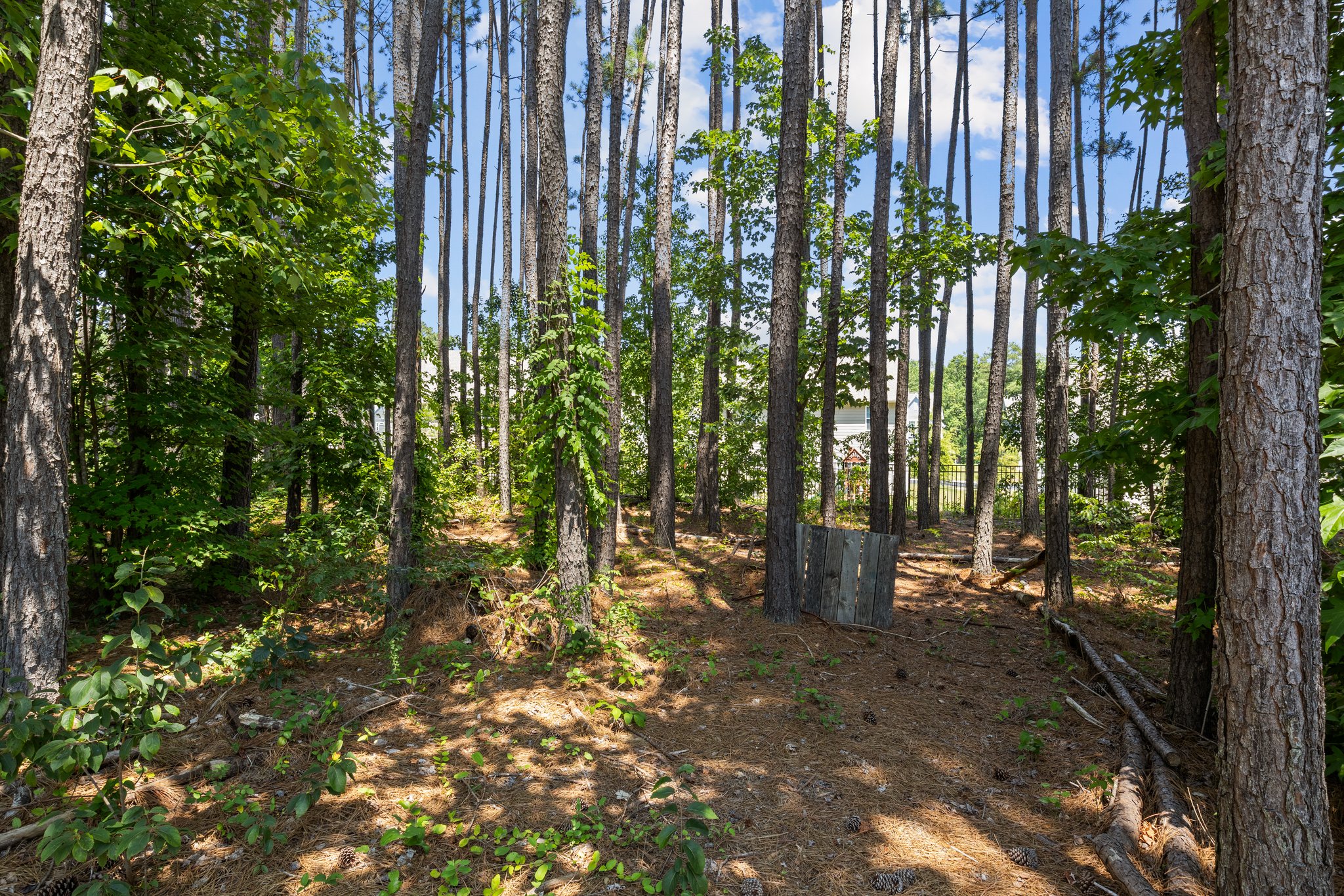 Can you imagine a spooky Halloween on these trails?