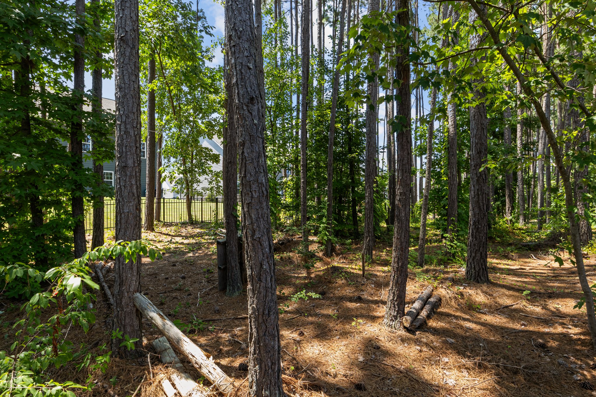 Take the stroll thru the trails in your own yard