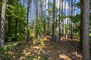 Can you imagine a spooky Halloween on these trails?