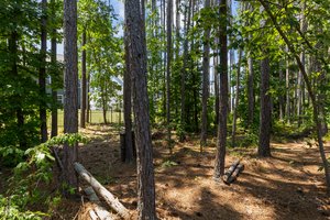 Take the stroll thru the trails in your own yard