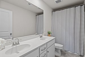 Hall bathroom on the second floor
