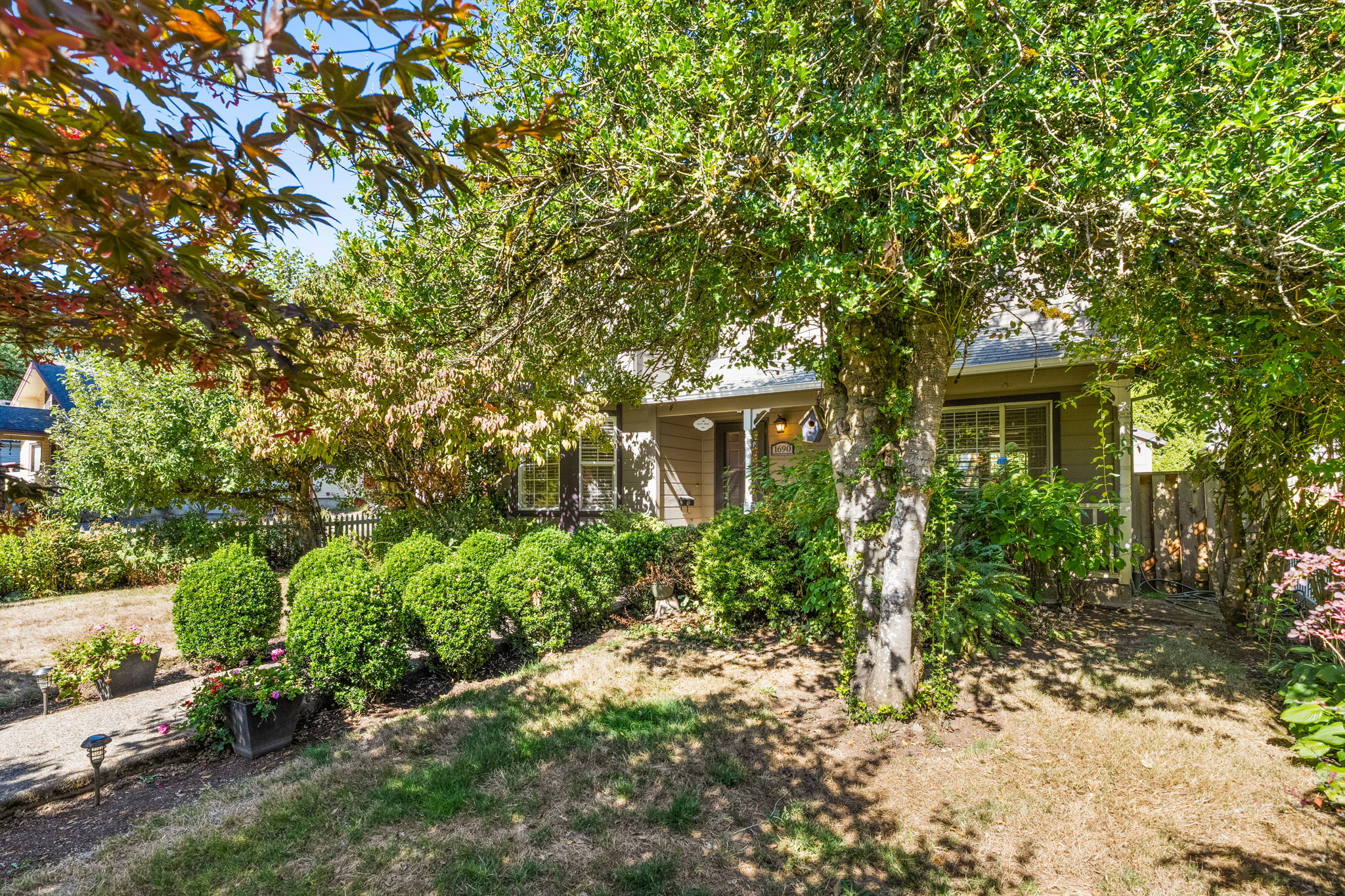 Front Yard
