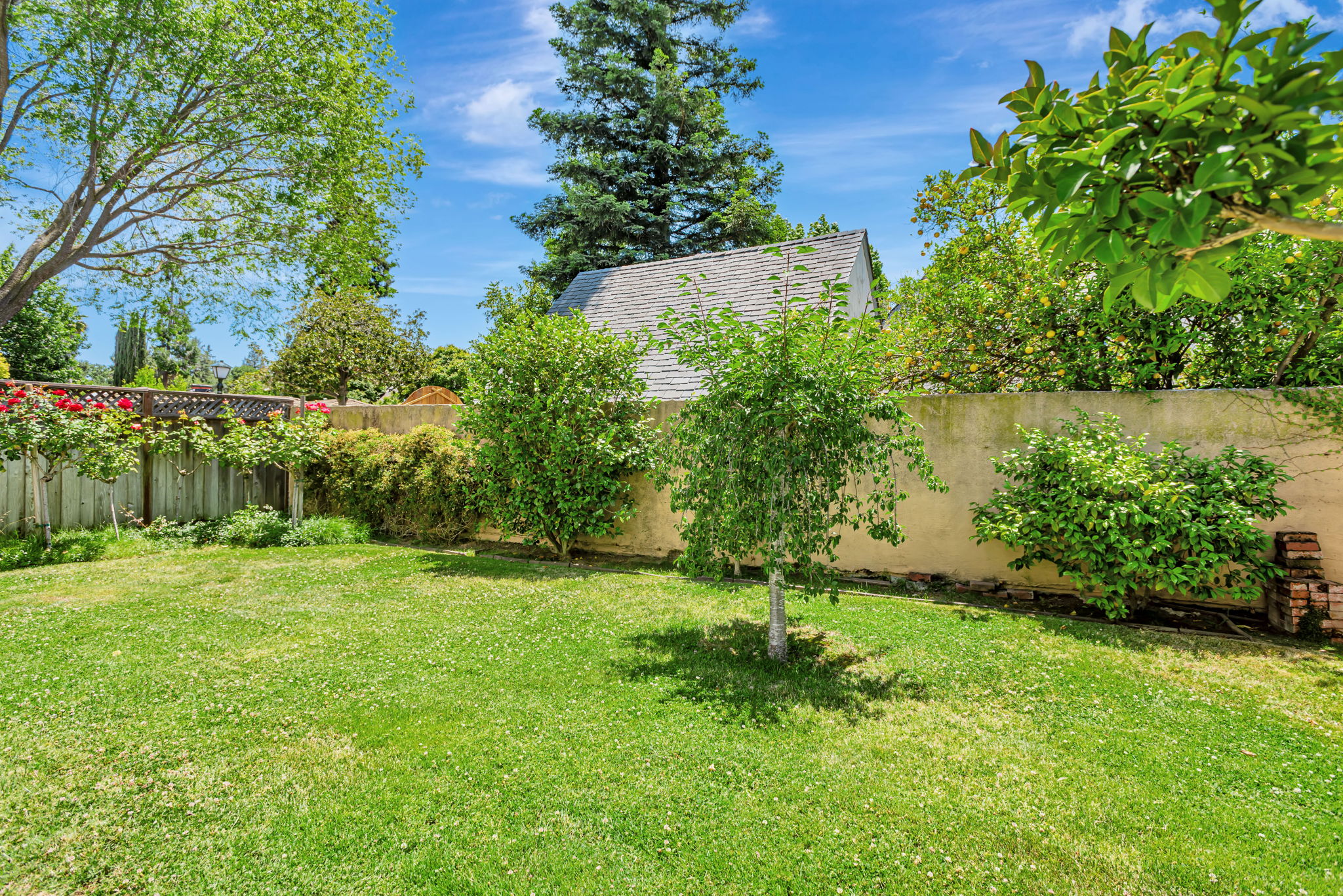 051_1690 Castilleja Ave