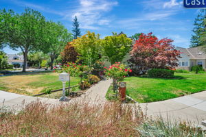 003_1690 Castilleja Ave