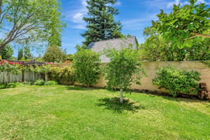 051_1690 Castilleja Ave