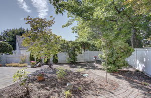04 backyard 2