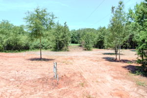  Photo 33