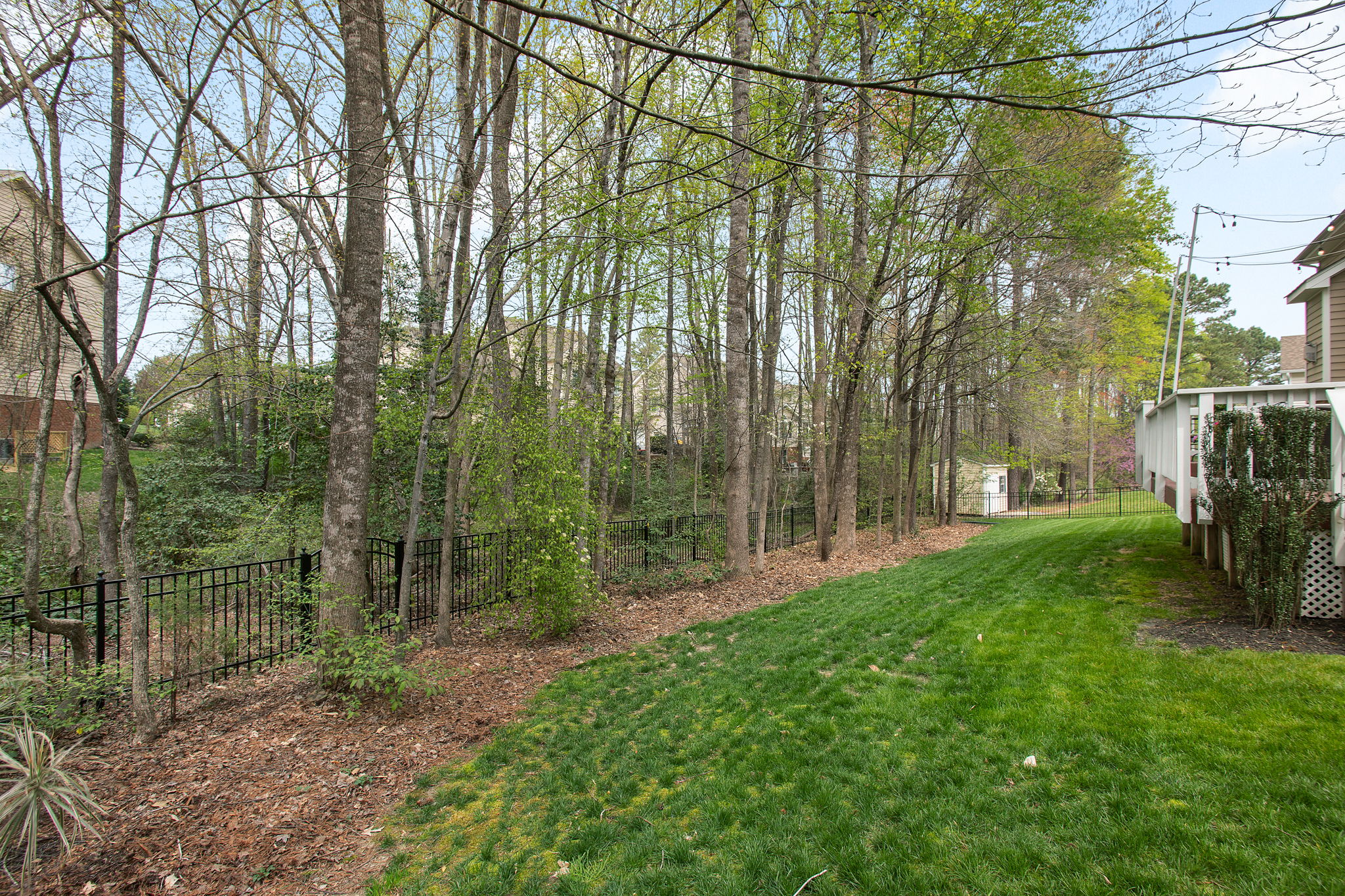 54-Backyard