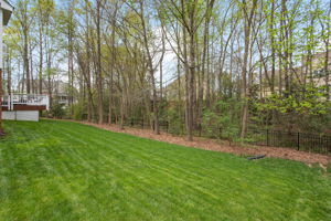 53-Backyard