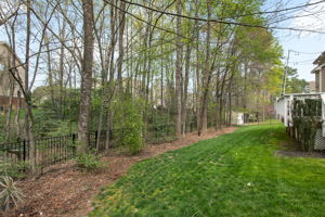54-Backyard