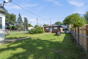  Photo 46