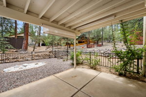Back Patio