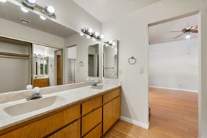 Primary Bathroom (3)